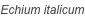 shapeimage_110_link_0
