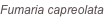 shapeimage_127_link_0