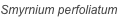 shapeimage_140_link_0