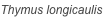 shapeimage_159_link_0