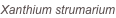 shapeimage_190_link_0