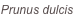 shapeimage_77_link_0