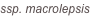 shapeimage_85_link_1