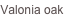 shapeimage_85_link_2
