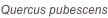 shapeimage_86_link_0