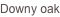 shapeimage_86_link_1