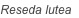 shapeimage_92_link_0