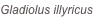 shapeimage_1_link_0