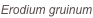 shapeimage_2_link_0