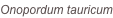 shapeimage_3_link_0