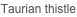 shapeimage_3_link_1