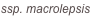 shapeimage_2_link_1