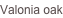 shapeimage_2_link_2
