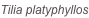 shapeimage_1_link_0